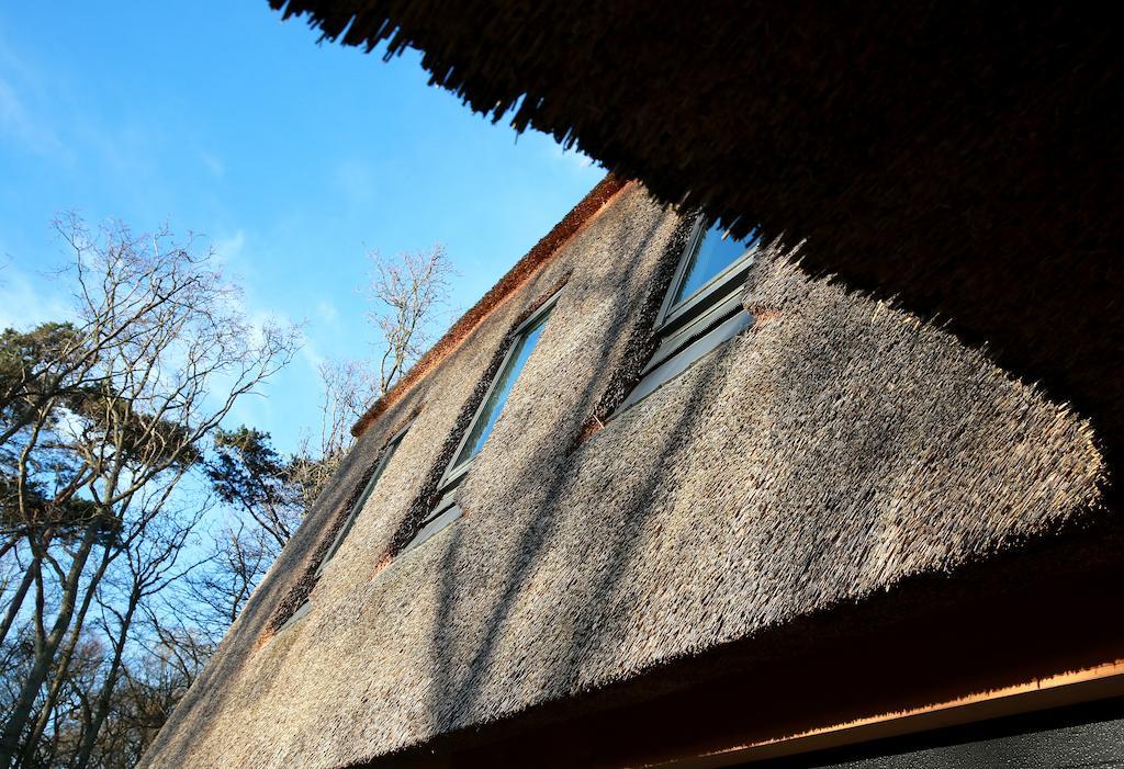 Bed and Breakfast Loft 49 Bergen Exterior foto